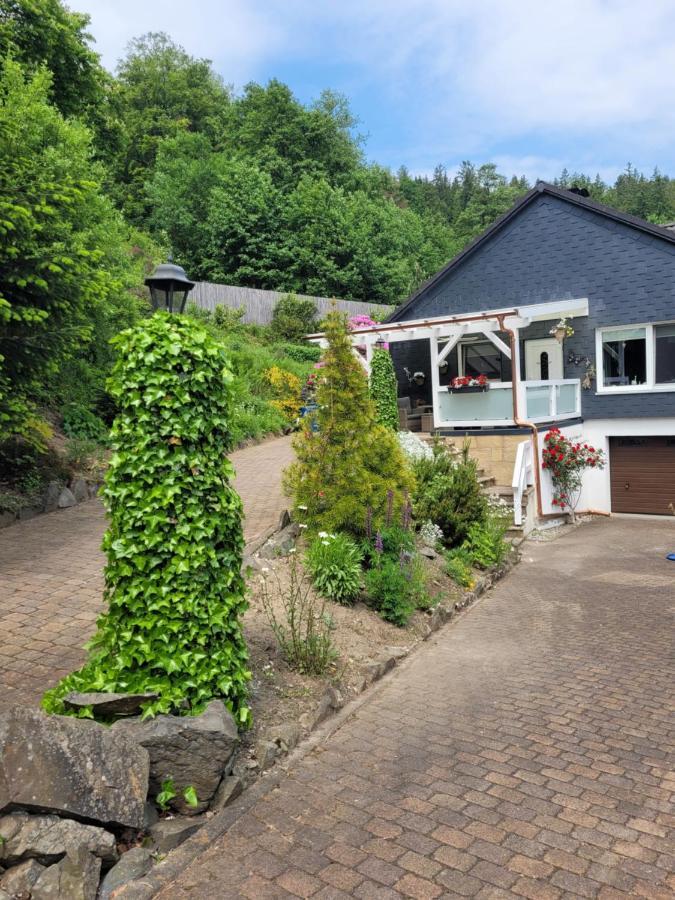 Gaestezimmer Haus Talblick Lautenthal Exterior foto